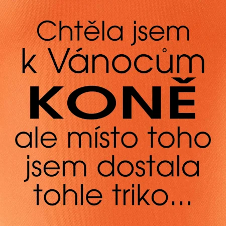 Chtěla jsem k Vánocům koně
