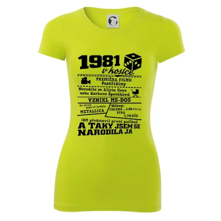 1981 v kostce