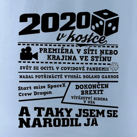 2020 v kostce