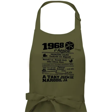 1968 v kostce
