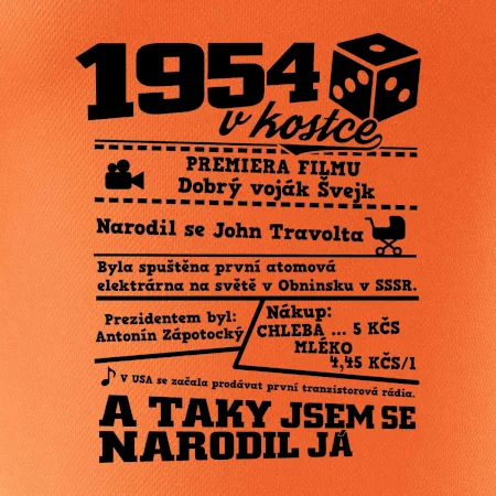 1954 v kostce