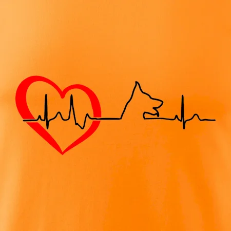 Německý ovčák ekg