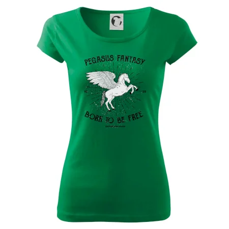 Pegasus fantasy