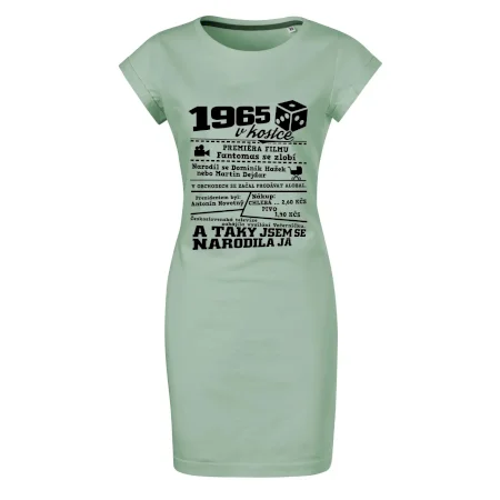 1965 v kostce