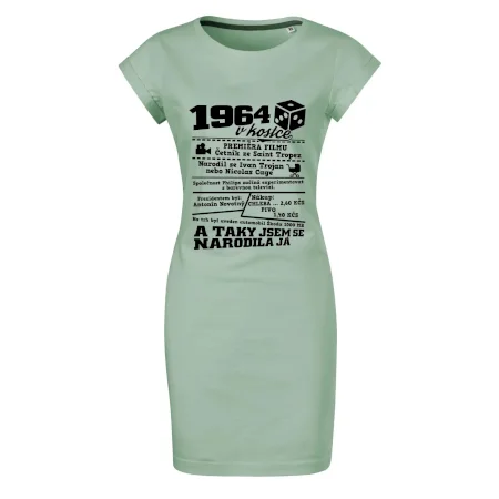 1964 v kostce