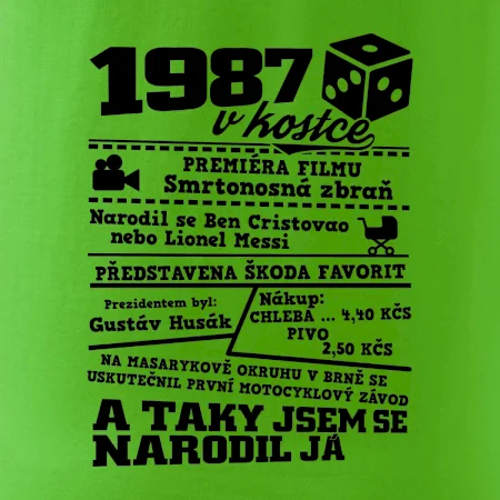 1987 v kostce