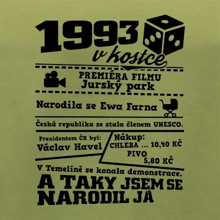 1993 v kostce