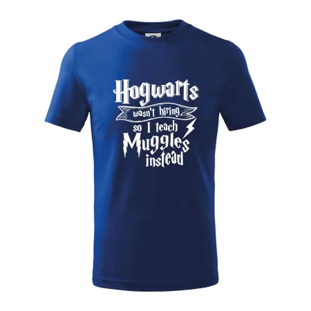 Harry - Hogwarts wasn’t hiring, so I teach Muggles instead