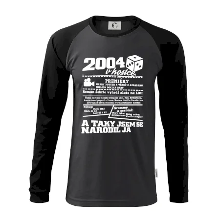2004 v kostce