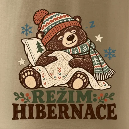 Rodinná vánoční trička - Režim hibernace zimní medvěd táta