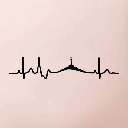 Ekg Jeseníky