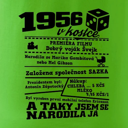 1956 v kostce