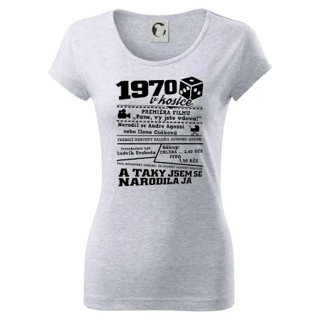 1970 v kostce