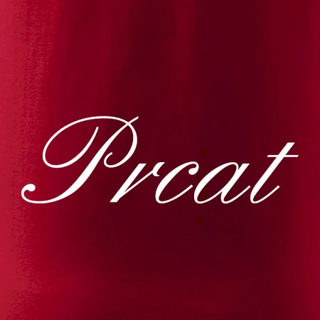 Prcat (souložit vulgárně)