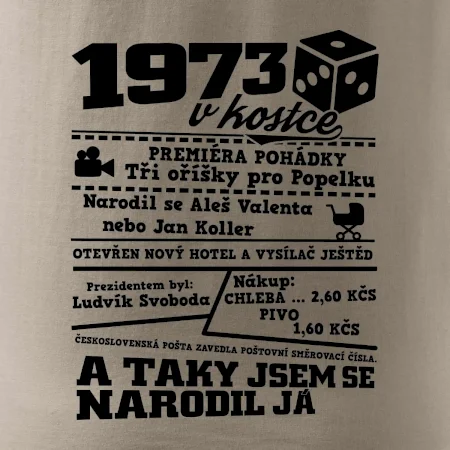 1973 v kostce