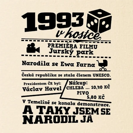 1993 v kostce