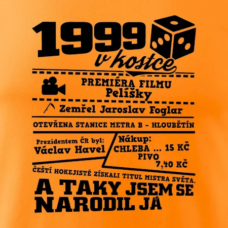 1999 v kostce