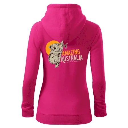 Amazing Australia koala