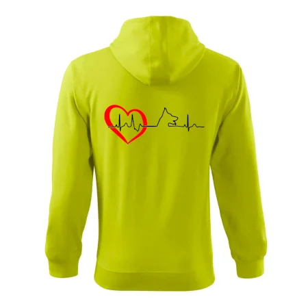 Německý ovčák ekg