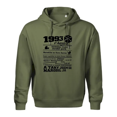 1993 v kostce