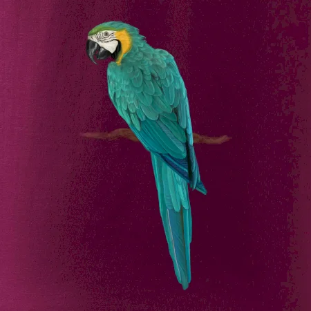 Ara