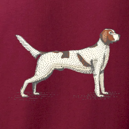Vintage Setter