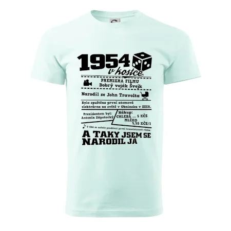 1954 v kostce