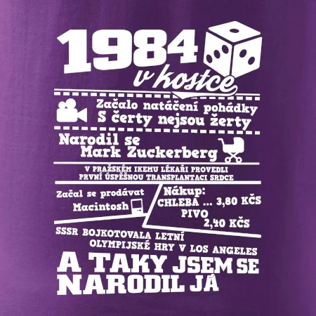 1984 v kostce