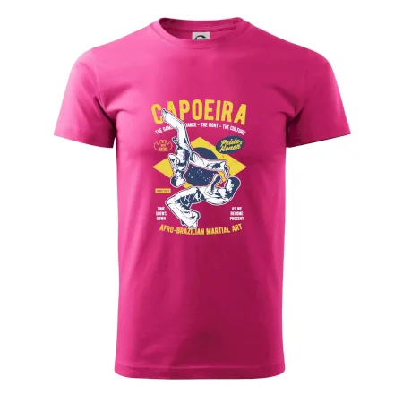 Capoeira  Afro-brazil art