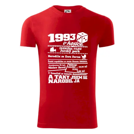 1993 v kostce