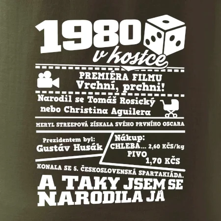 1980 v kostce