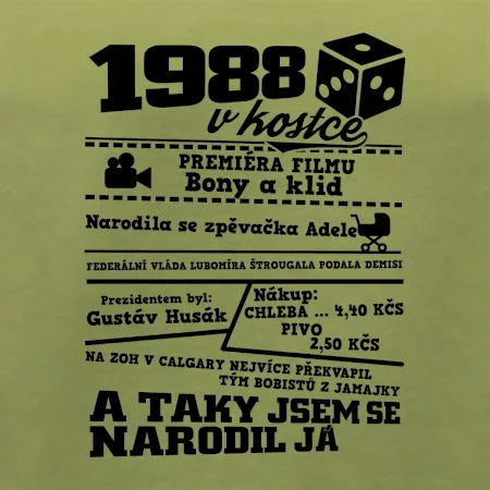 1988 v kostce