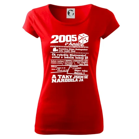 2005 v kostce