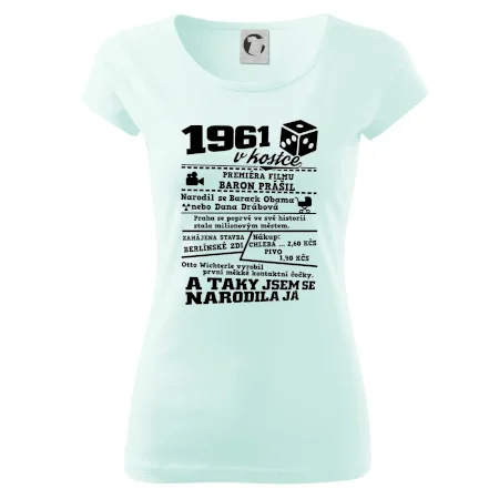 1961 v kostce