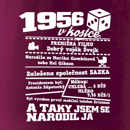 1956 v kostce