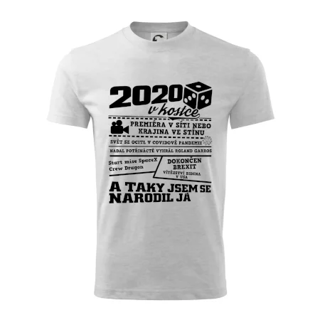 2020 v kostce