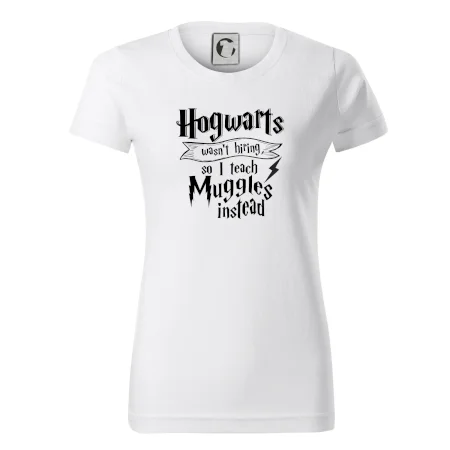 Harry - Hogwarts wasn’t hiring, so I teach Muggles instead