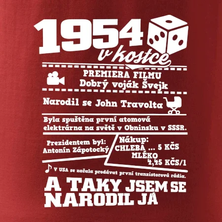 1954 v kostce