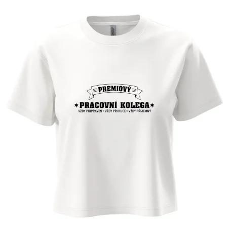 Prémiový pracovní kolega