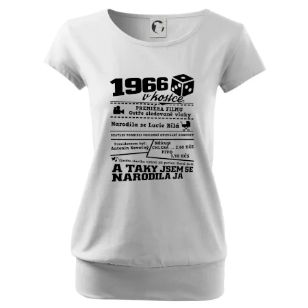 1966 v kostce