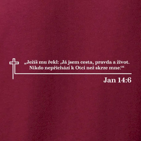 Citáty z bible - Jan 14:6