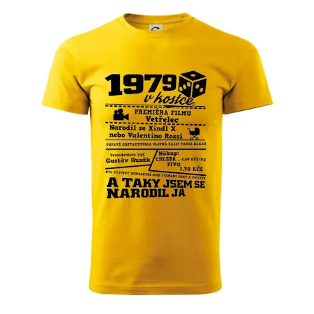 1979 v kostce