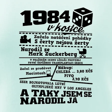 1984 v kostce