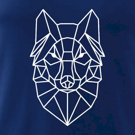 Geometrie - vlk