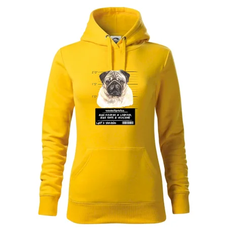 Lump a darebák mopsík
