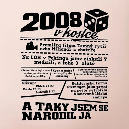 2008 v kostce
