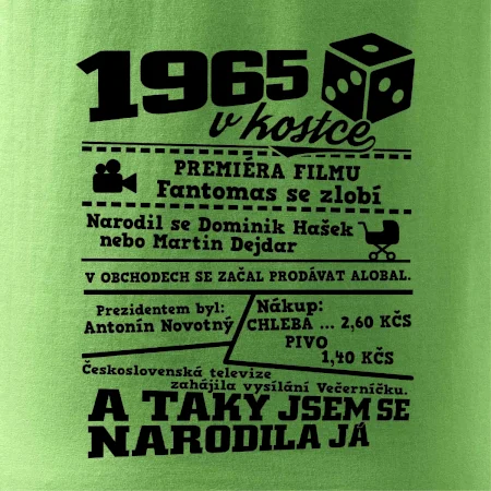 1965 v kostce