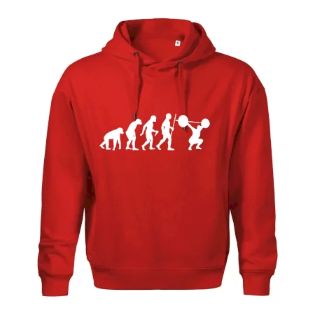 Evolution fitness