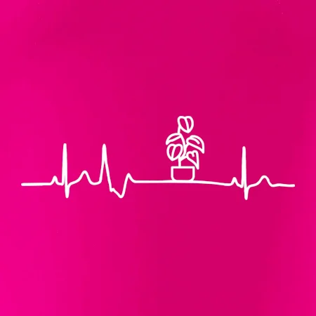 EKG Filodendron