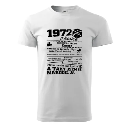 1972 v kostce